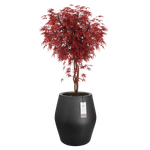 june split high 46cm zwart